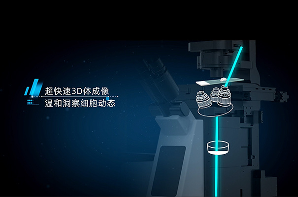 a1f182c9-8f7d-4a32-ad8d-296bb47d7edf.jpg